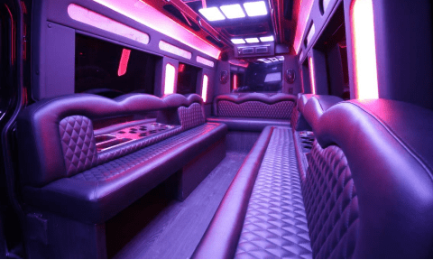 Denton 14 Passenger Sprinter Bus Interior